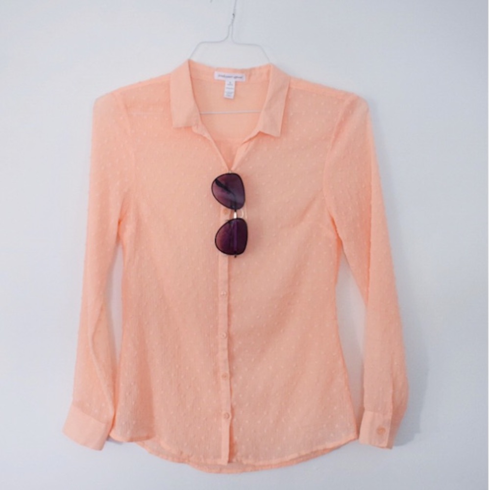 Light pink • Sheer • polka dot • Button up